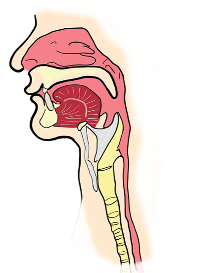 Hoarseness Causes Symptoms Treatment 01